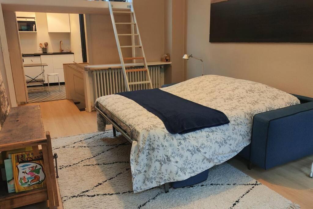 Joli Studio Dans Maison De Maitre Collonges-au-Mont-dʼOr Zewnętrze zdjęcie